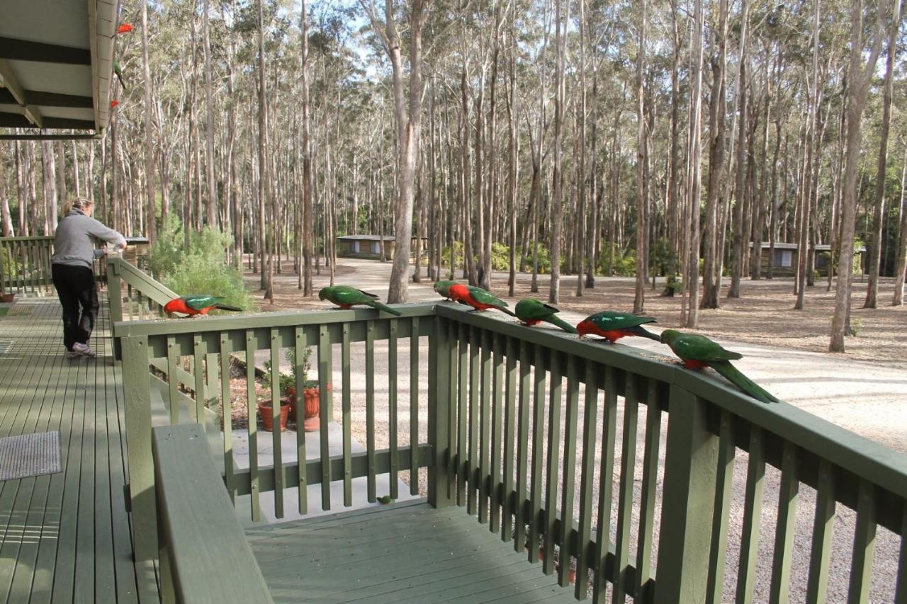 Lakes Entrance Log Cabins المظهر الخارجي الصورة