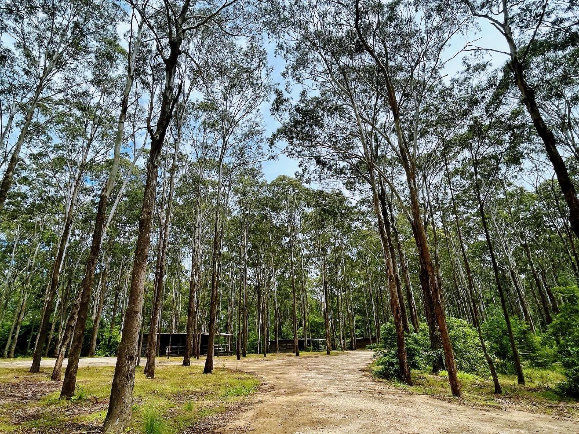Lakes Entrance Log Cabins المظهر الخارجي الصورة